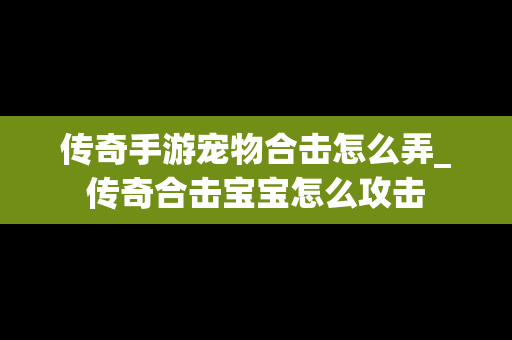 传奇手游宠物合击怎么弄_传奇合击宝宝怎么攻击