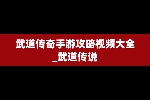 武道传奇手游攻略视频大全_武道传说