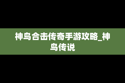 神鸟合击传奇手游攻略_神鸟传说