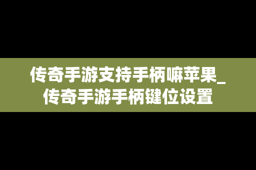 传奇手游支持手柄嘛苹果_传奇手游手柄键位设置