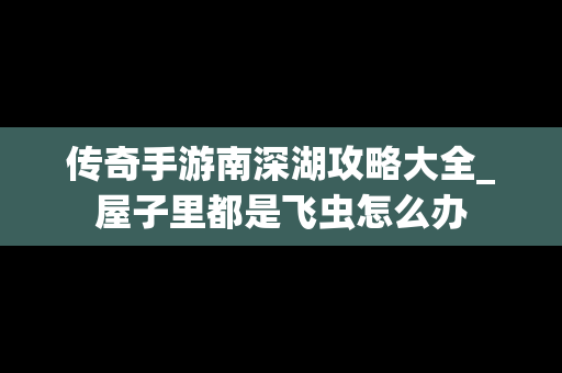 传奇手游南深湖攻略大全_屋子里都是飞虫怎么办