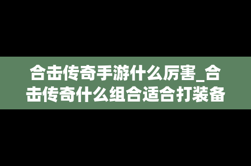 合击传奇手游什么厉害_合击传奇什么组合适合打装备