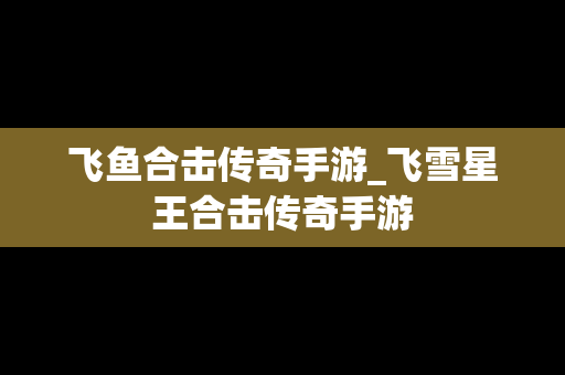 飞鱼合击传奇手游_飞雪星王合击传奇手游