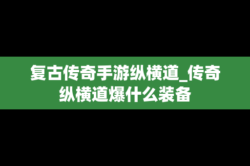 复古传奇手游纵横道_传奇纵横道爆什么装备