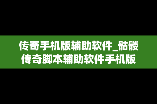 传奇手机版辅助软件_骷髅传奇脚本辅助软件手机版