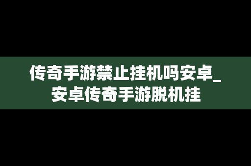 传奇手游禁止挂机吗安卓_安卓传奇手游脱机挂