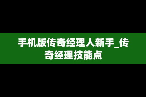 手机版传奇经理人新手_传奇经理技能点